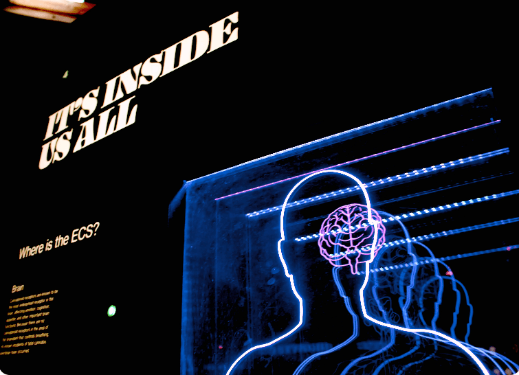 ertelem-davranisini-kirmak