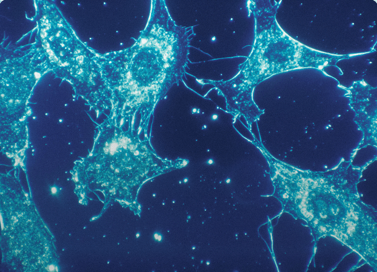 biyolojik-saatimize-uygun-nasil-ders-calisiriz