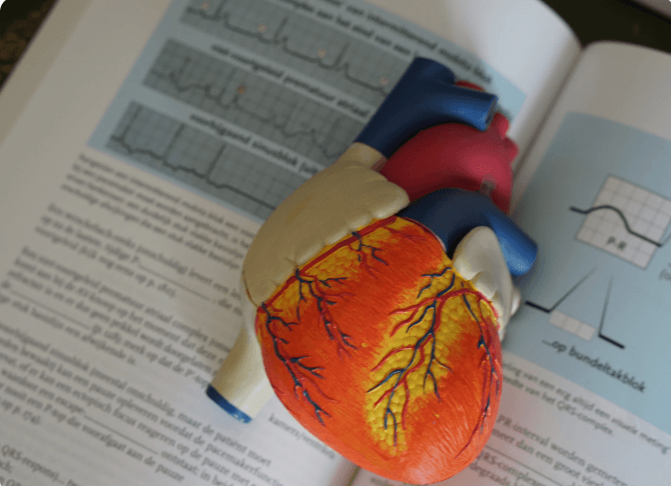 biyoloji-icin-ezber-yontemleri